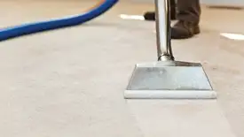 Carpet cleaning wand head gliding over a light carpet during hot-water extraction, Honolulu, HI.