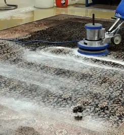 Professional rug cleaning with a rotary floor machine and shampoo foam, deep-cleaning an area rug Honolulu, HI.